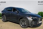 2023 Lexus NX