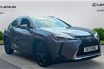 2021 Lexus UX