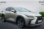 2024 Lexus NX