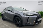 2022 Lexus UX