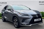 2021 Lexus NX