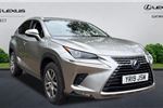 2019 Lexus NX