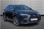 2024 Lexus NX
