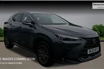 2023 Lexus NX