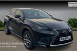 2019 Lexus NX