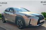 2020 Lexus UX