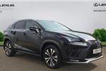 2019 Lexus NX