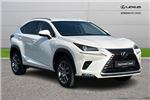 2019 Lexus NX