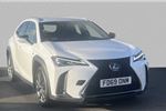 2020 Lexus UX