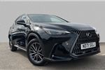 2022 Lexus NX