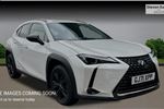 2021 Lexus UX