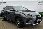 2020 Lexus NX