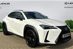 2022 Lexus UX