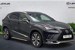 2021 Lexus NX