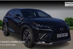 2020 Lexus NX