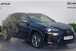 2023 Lexus UX