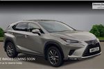 2019 Lexus NX