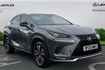 2020 Lexus NX