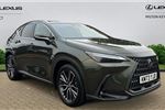 2023 Lexus NX