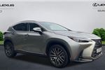 2023 Lexus NX