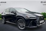 2024 Lexus NX