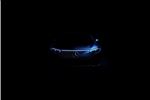 2023 Mercedes-Benz GLS GLS 400d 4Matic Night Ed Exec 5dr 9G-Tron