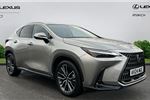 2024 Lexus NX