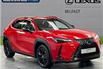 2022 Lexus UX