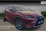 2019 Lexus NX