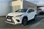 2019 Lexus NX