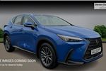 2023 Lexus NX