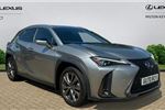 2020 Lexus UX