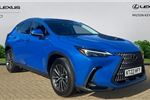 2022 Lexus NX