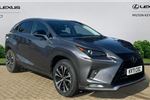 2021 Lexus NX