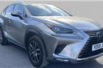 2019 Lexus NX