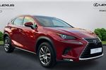 2019 Lexus NX