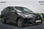 2023 Lexus NX