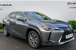 2021 Lexus UX