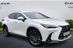 2024 Lexus NX