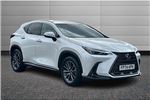 2024 Lexus NX