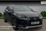 2021 Lexus NX