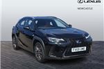 2020 Lexus UX