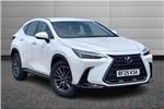 2025 Lexus NX