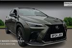 2024 Lexus NX