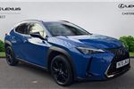 2021 Lexus UX