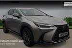 2023 Lexus NX