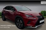 2020 Lexus NX