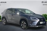 2020 Lexus NX