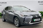 2021 Lexus UX