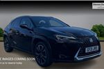 2021 Lexus UX